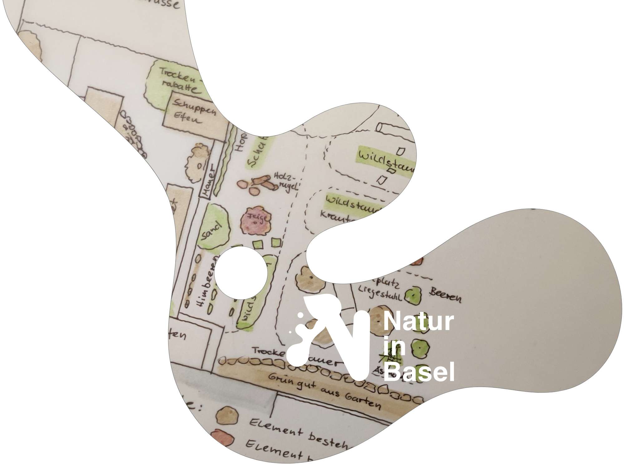 Ein Schmetterling in der Natur gefasst im Natur Basel Logo